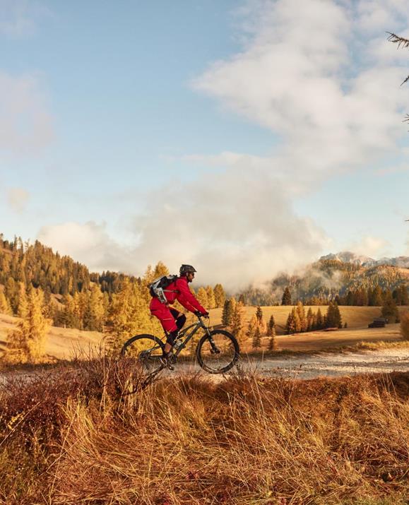 Ein Mountainbiker in roter Kleidung fährt auf einem Schotterweg durch die herbstlich gefärbte Landschaft der Villanderer Alm, umgeben von goldenen Lärchen und sanften Hügeln im Morgenlicht.