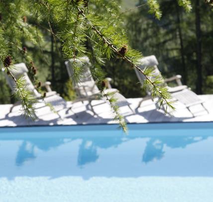 Zweige einer Lärche im Vordergrund mit Blick auf unser Freibad und Sonnenliegen auf einer Holzterrasse im Hintergrund.