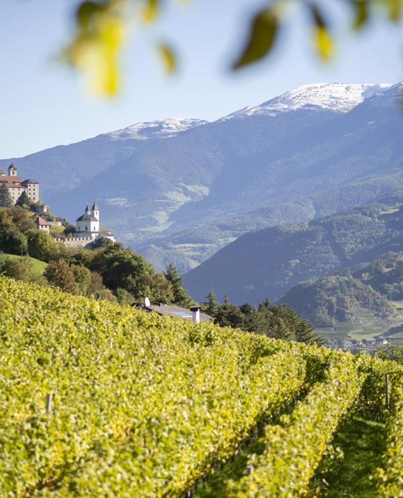 Blick über grüne Weinberge hinauf zum Kloster Säben bei Klausen, eingebettet in die Hügellandschaft mit den Dolomiten im Hintergrund.