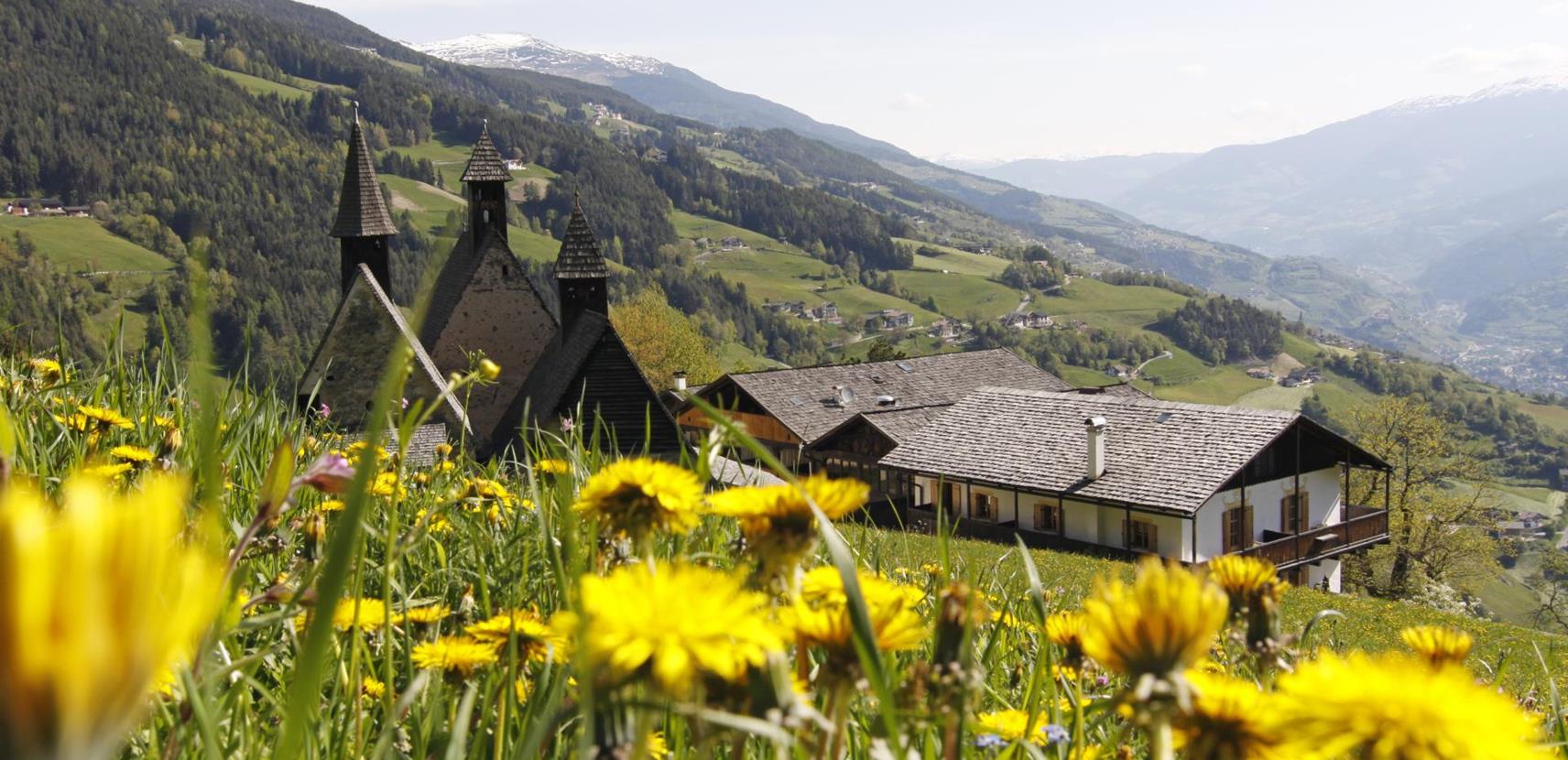 Blick über eine blühende Frühlingswiese mit Löwenzahn auf das historische Ensemble von Bad Dreikirchen, eingebettet in die grüne Hügellandschaft Südtirols mit weitem Panoramablick auf das Tal.