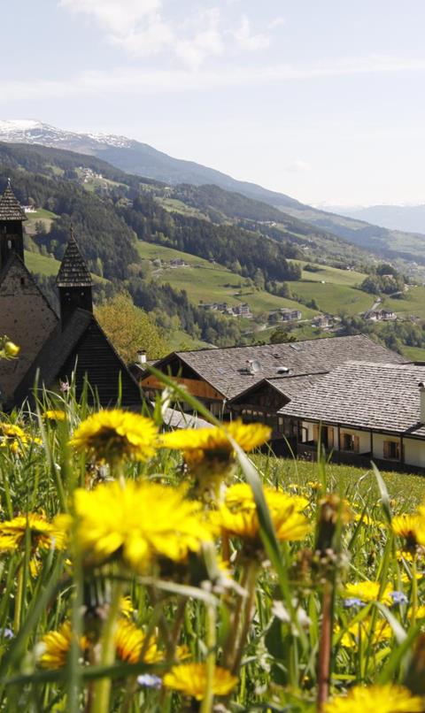 Blick über eine blühende Frühlingswiese mit Löwenzahn auf das historische Ensemble von Bad Dreikirchen, eingebettet in die grüne Hügellandschaft Südtirols mit weitem Panoramablick auf das Tal.